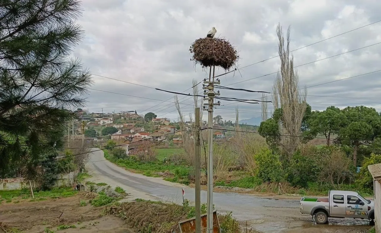 Yılın ilk leylekleri geldi! İlk gören 1 çuval unu kaptı