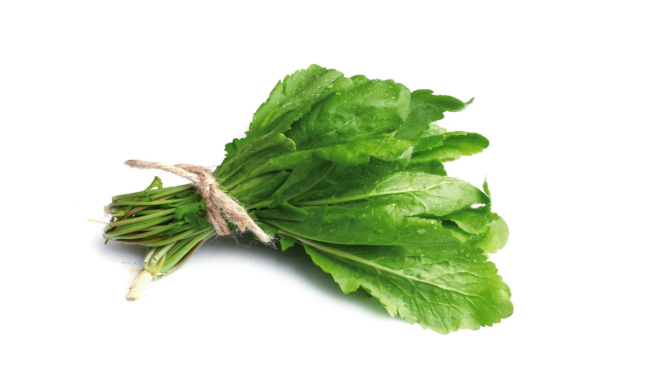 Denizden babam çıksa yerim diyenler dikkat! Ne levrek ne de somon: İşte dünyanın en sağlıklı balığı