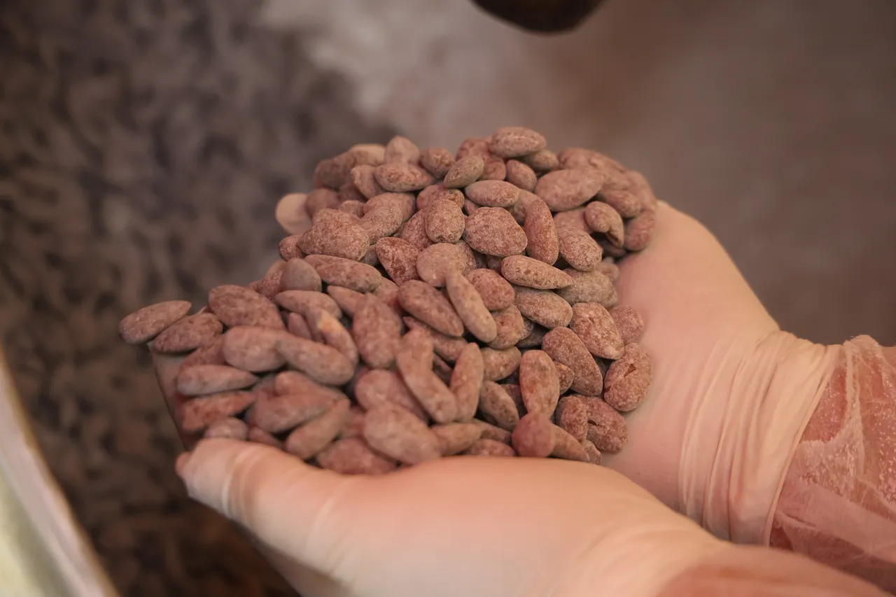 Ramazan’ın vazgeçilmezi ‘beyaz altın’! Kilosu 500 lira, 3 saatte hazırlanıyor