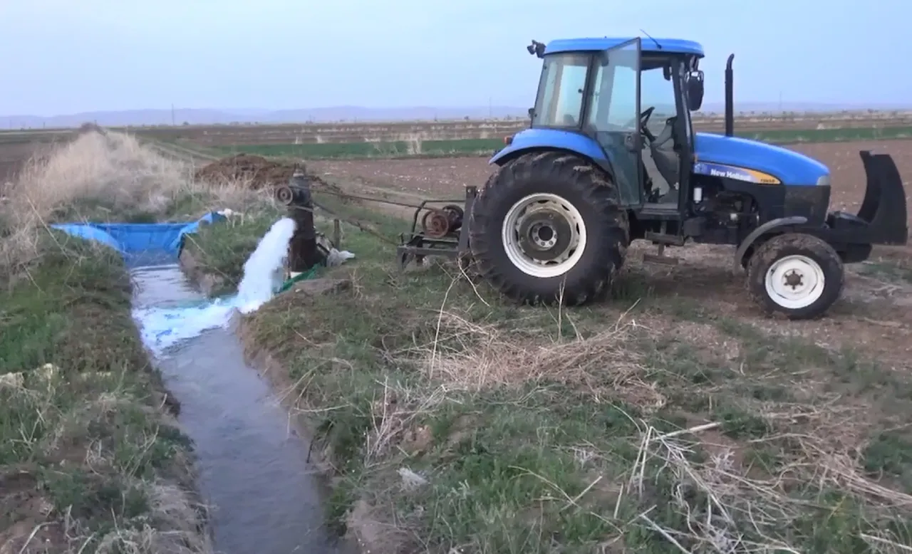 17 ili saran sessiz tehlike! Aksaray’da sayısı 86’ya ulaştı! Evlere ilerliyor