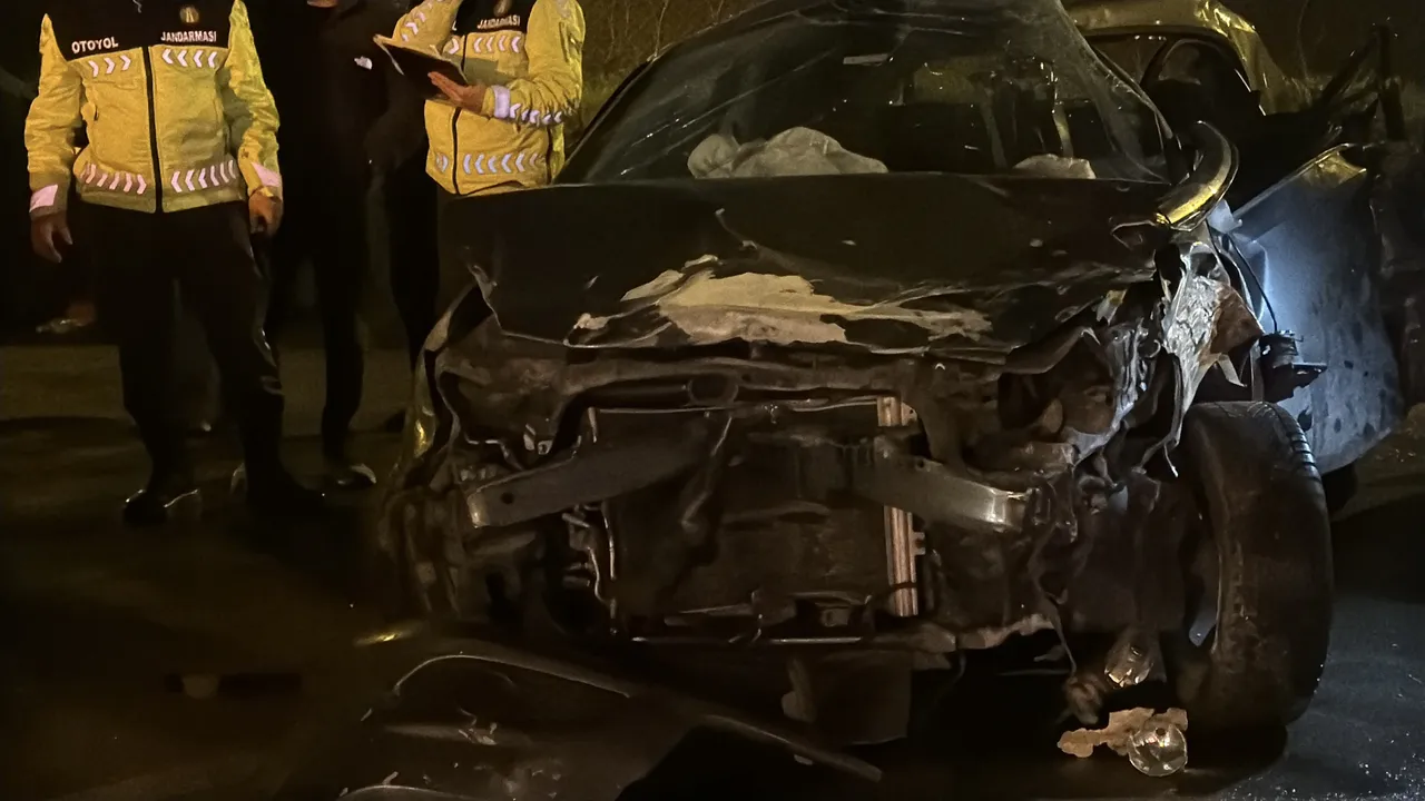 Anadolu Otoyolu'nda 16 araç birbirine girdi! Facianın görgü tanığı: Gelen vurdu, giden vurdu