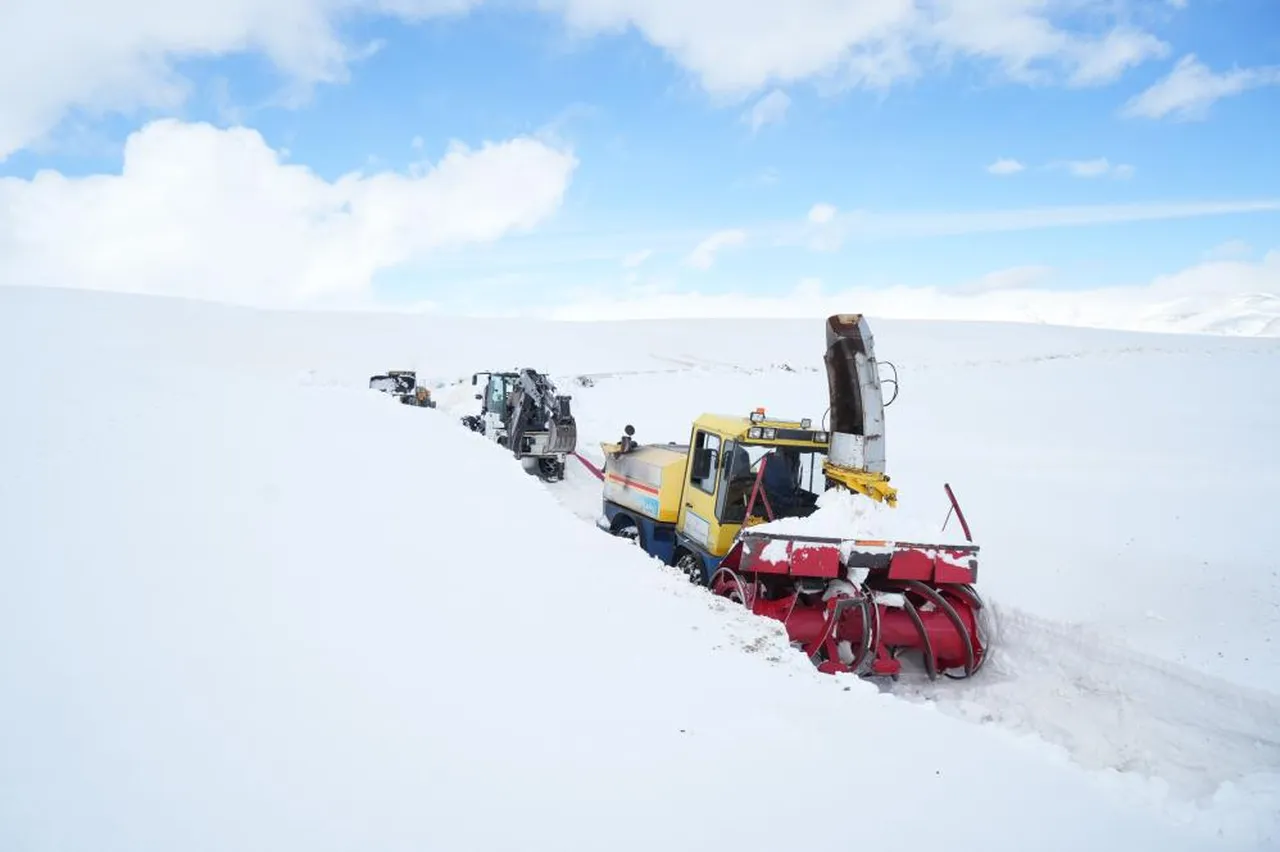 Muş'ta kar kalınlığı 6 metreyi geçti! Ekipler çığ riskine karşı zamana karşı yarışıyor