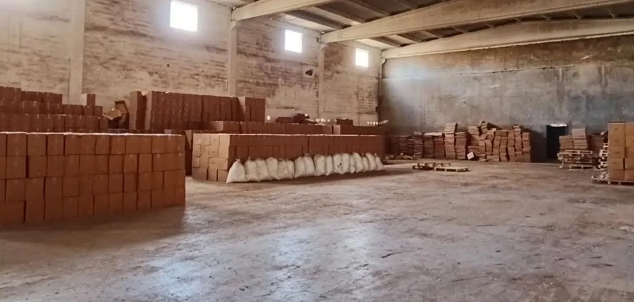 Şanlıurfa'da büyük operasyon: 40 milyon makaron ele geçirildi