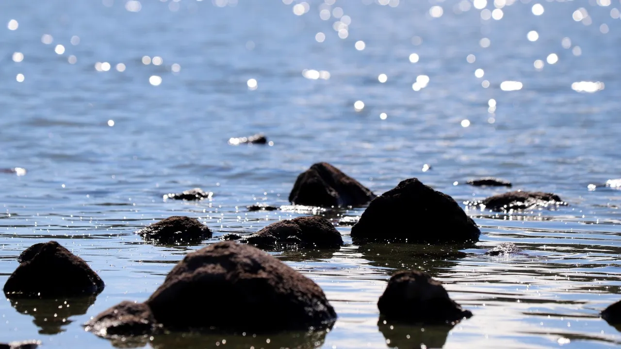 Tamamen kurumuştu! Tepegöl sağanak sonrası yeniden su tuttu