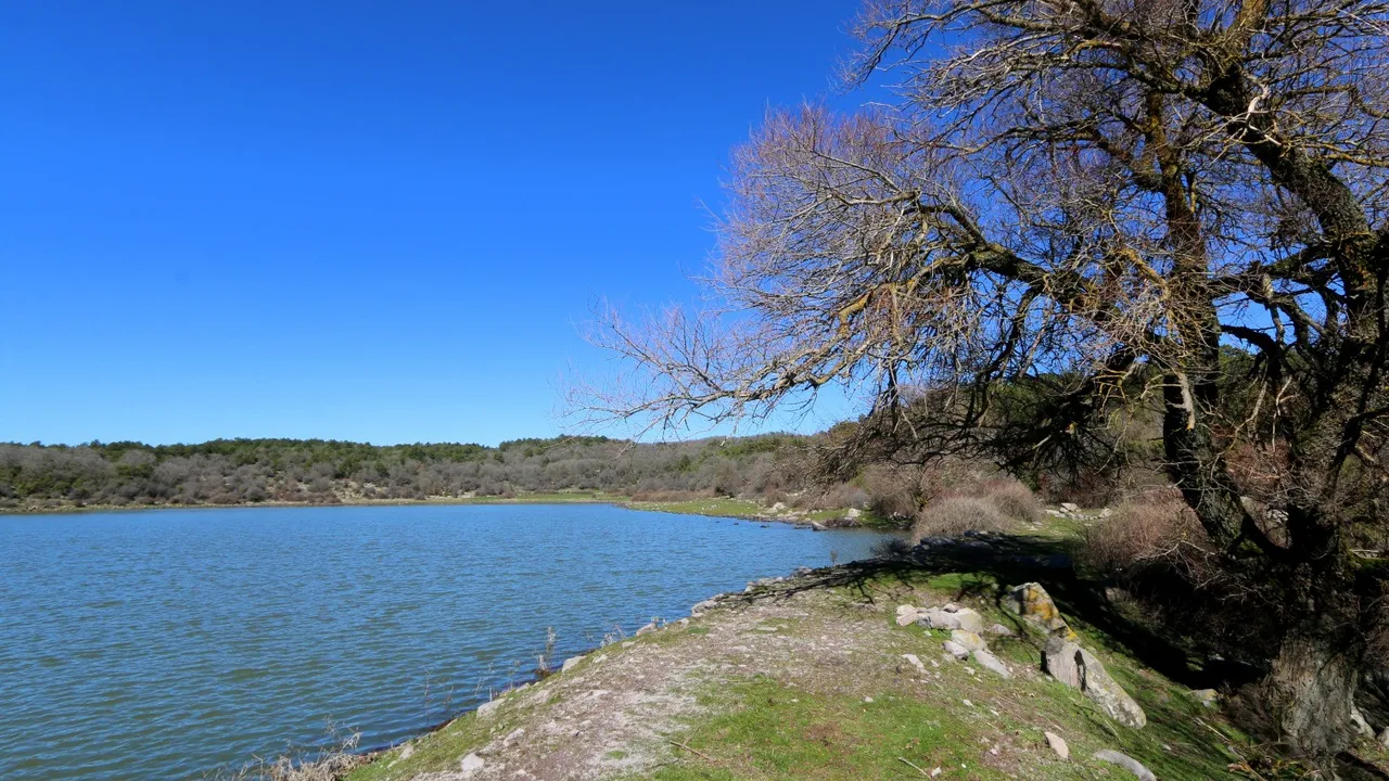 Tamamen kurumuştu! Tepegöl sağanak sonrası yeniden su tuttu