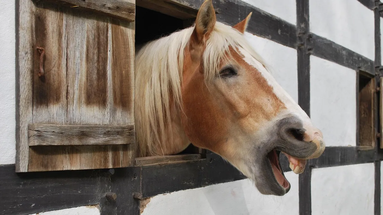 Bilim dünyasında şaşırtan keşif: Atlar aynı anda ıslık çalıp 