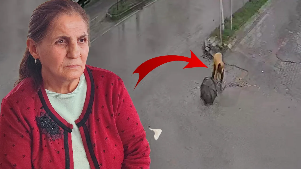 Çukura düştü, burnu kırıldı! Talihsiz kadın belediyeye isyan etti