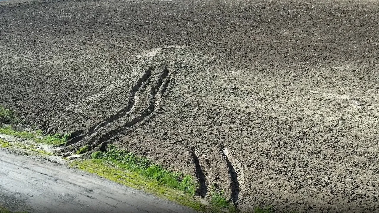 İstanbul'da korkunç olay! Çinli iş adamı ağzı, eli ve bacakları bağlı şekilde toprağa gömülü halde ölü bulundu