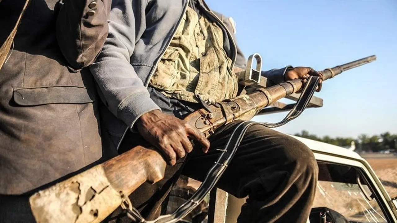 Nijerya ordusundan Boko Haram’a darbe: 29 terörist öldürüldü