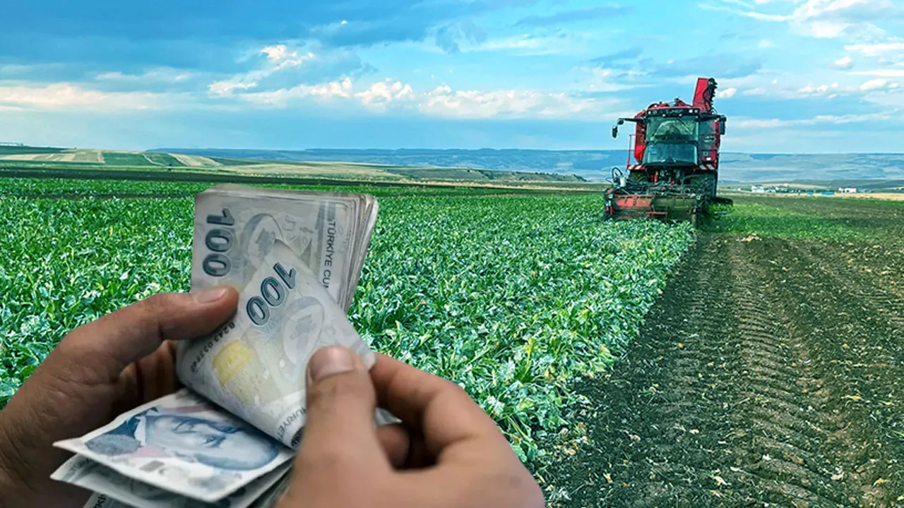 5 SORUDA YENİ SİSTEM