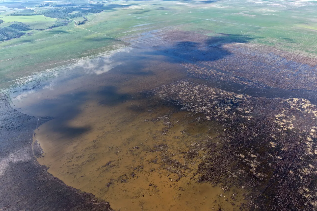 Umutlar kesilmişti, 5 yıl sonra dolmaya başladı! Şimdi yeniden 'göl' oluyor