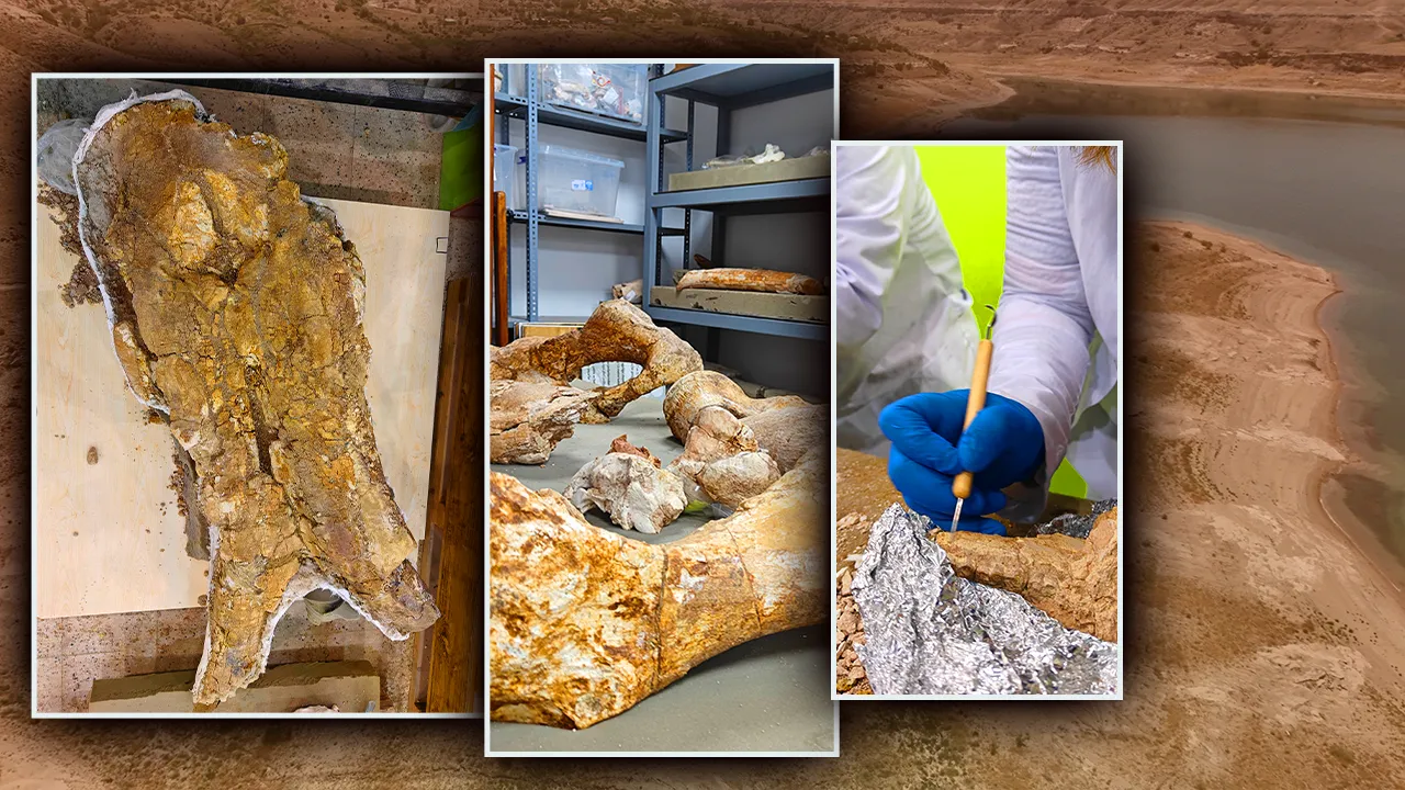 7,7 milyon yıllık tarihi olan yerde bulundu! 5 hortumlu kafatası var