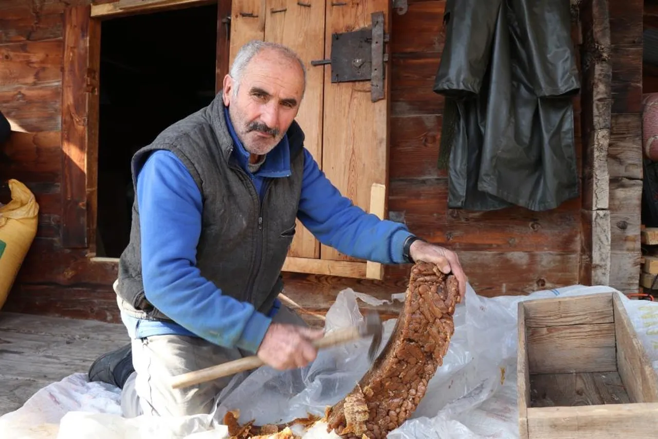 Adeta enerji deposu! Sadece o mahallede üretiliyor... Keserle çıkarıyorlar