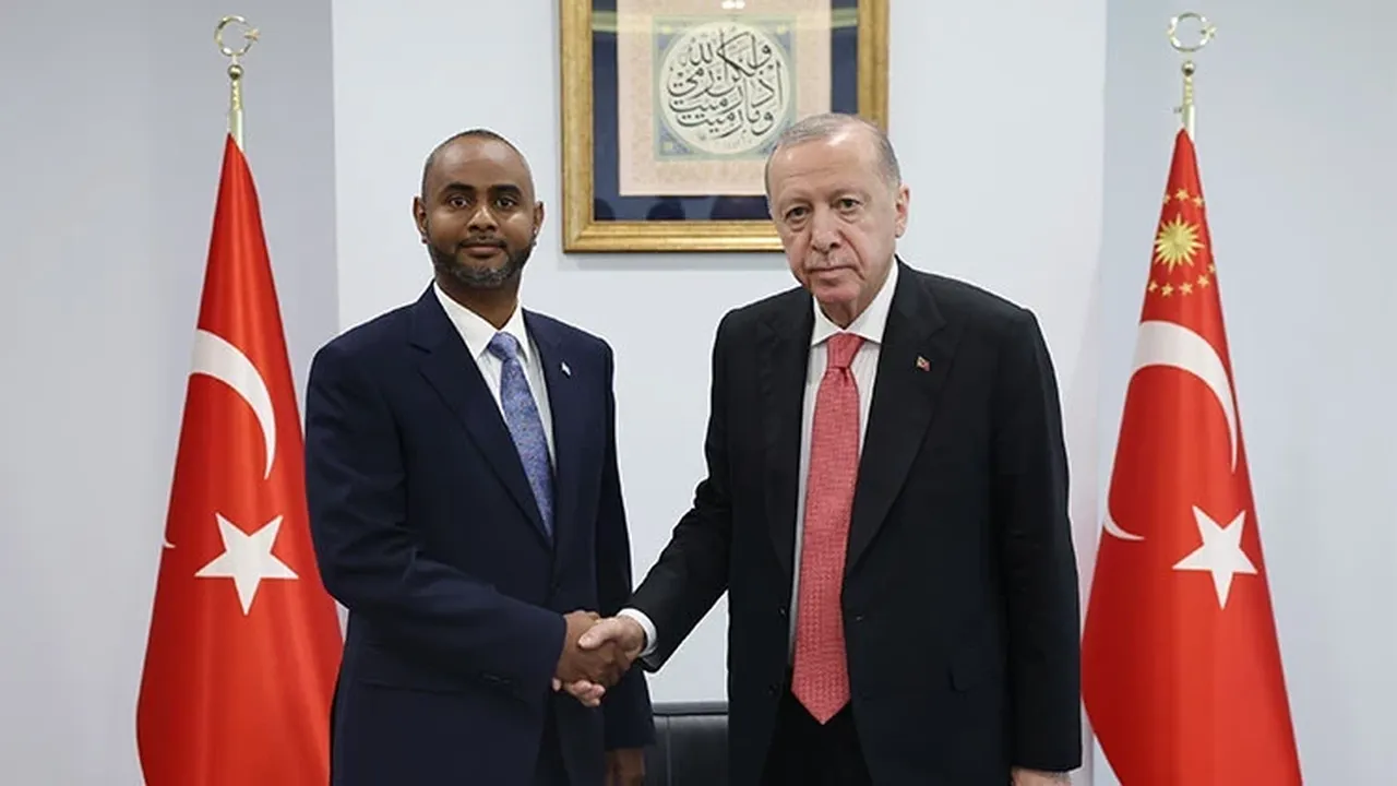 Afrika ülkesi Avrupa ülkerine seslendi! "Erdoğan o gün tarihin akışını değiştirdi"