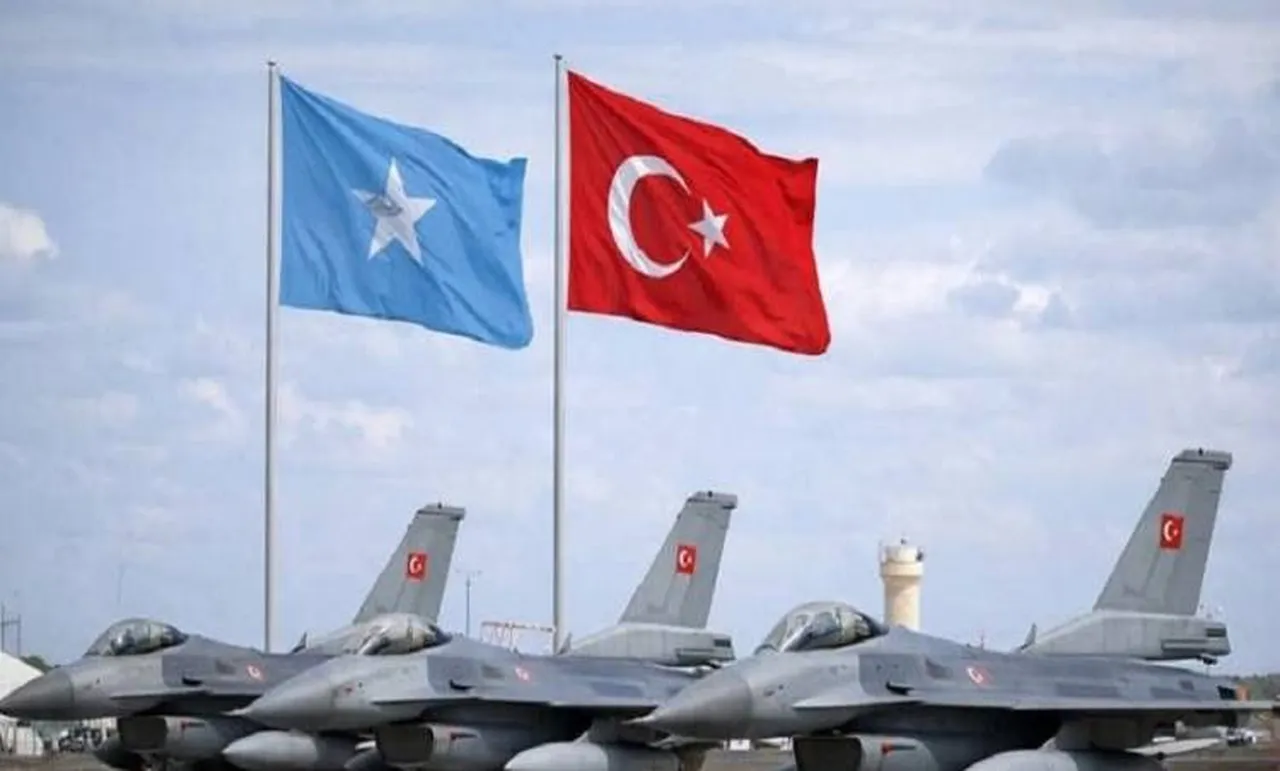 Afrika ülkesi Avrupa ülkerine seslendi! "Erdoğan o gün tarihin akışını değiştirdi"