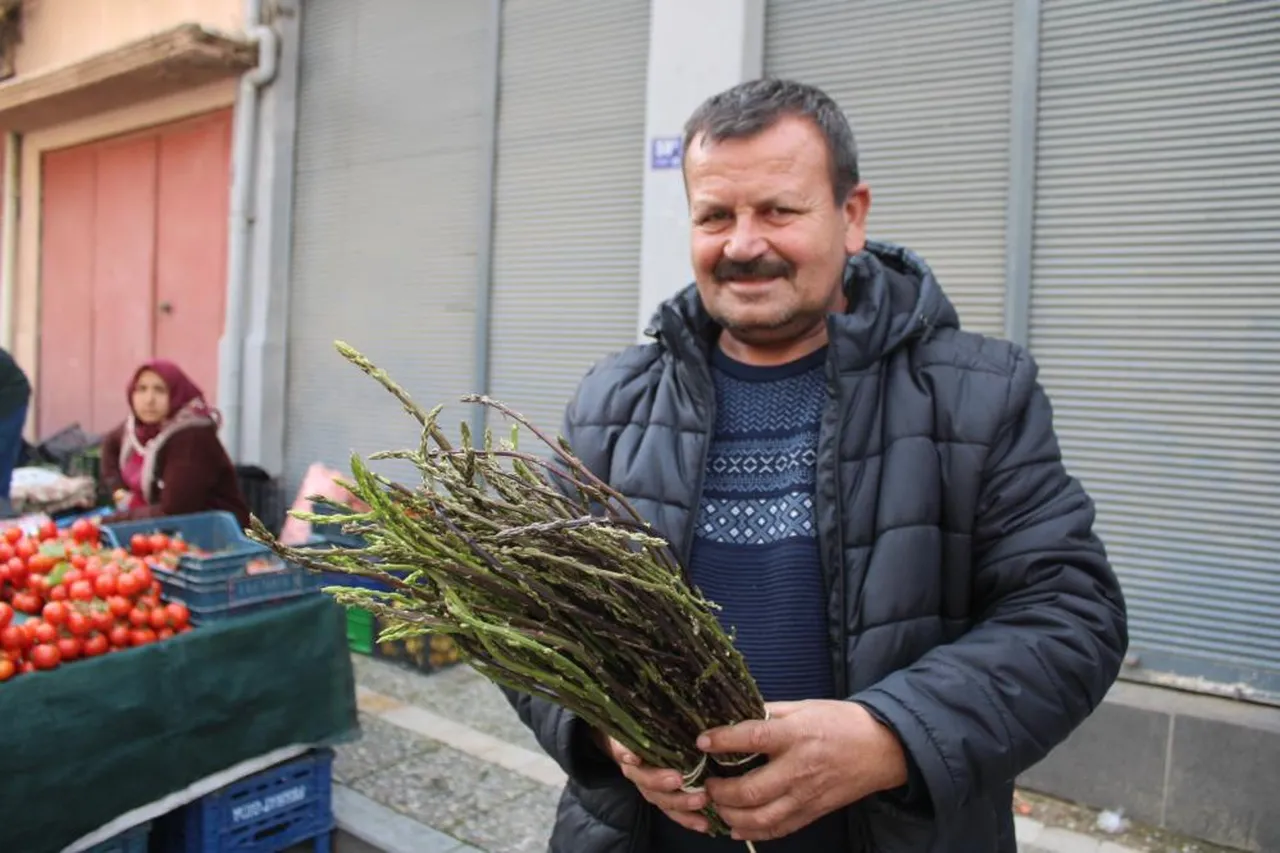 Baharda doğada kendiliğinden çıkıyor! Sezonun ilk ürünleri bağı 150 liradan satışta