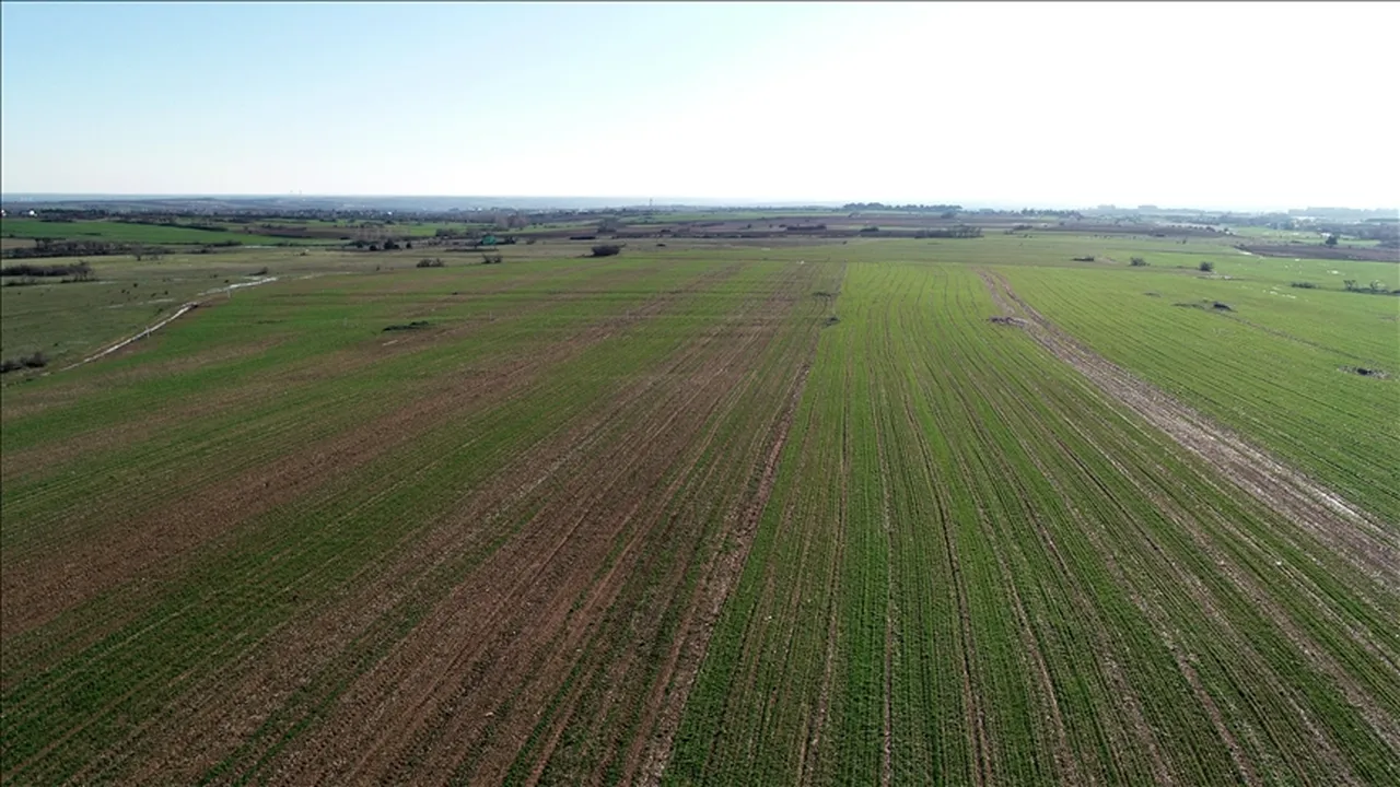 Getiride altınla yarışan iller! Arazi fiyatları bu şehirlerde hızlı arttı