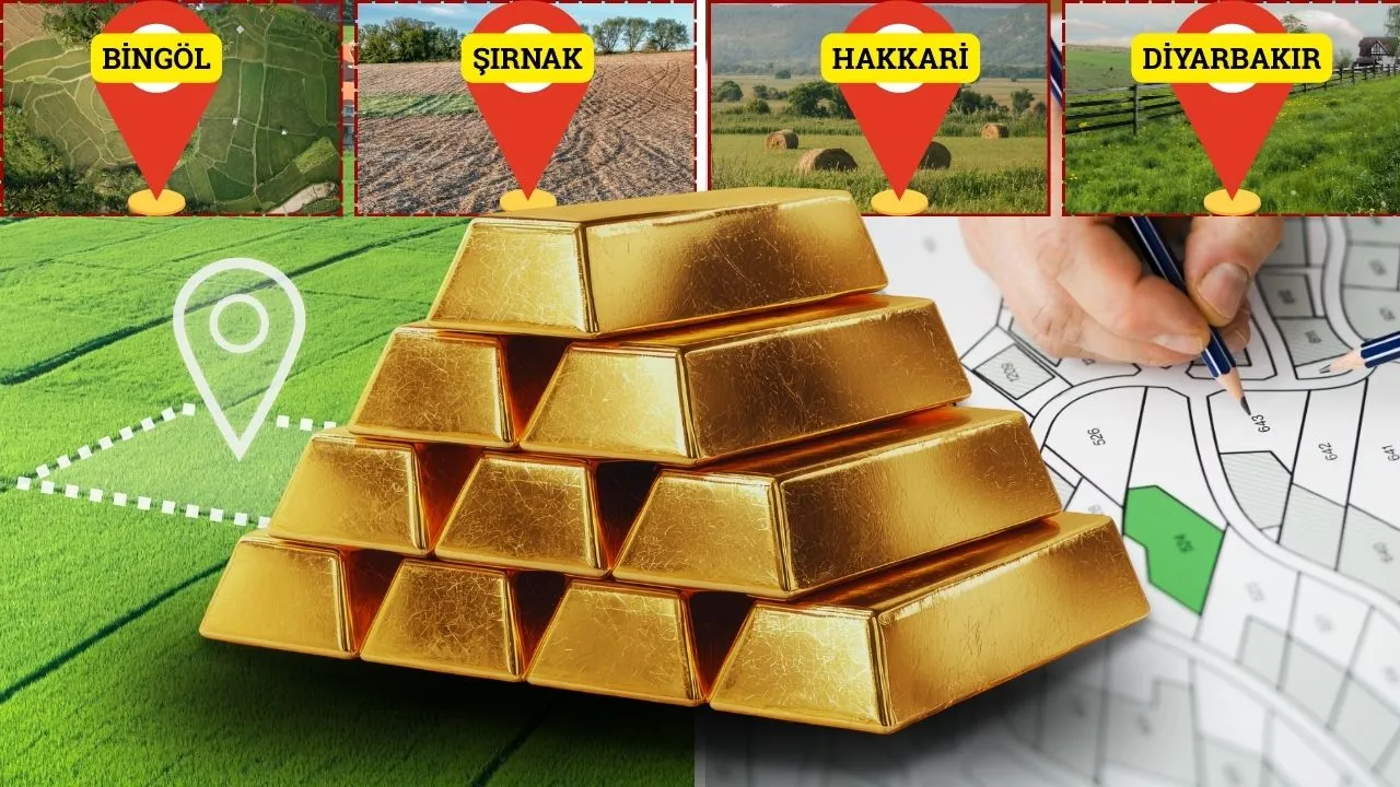 GETİRİDE ALTINLA YARIŞAN İLLER!