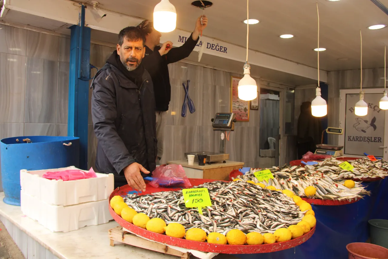 Hamsi 100 TL ucuzladı! İşte fiyatı