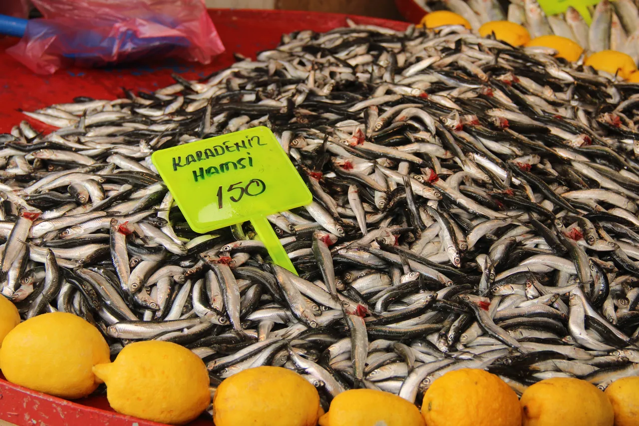 Hamsi 100 TL ucuzladı! İşte fiyatı