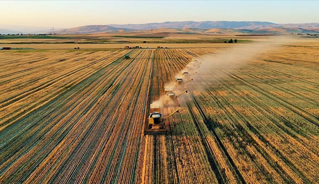 Köye dönüş şart! Tarım alarm veriyor