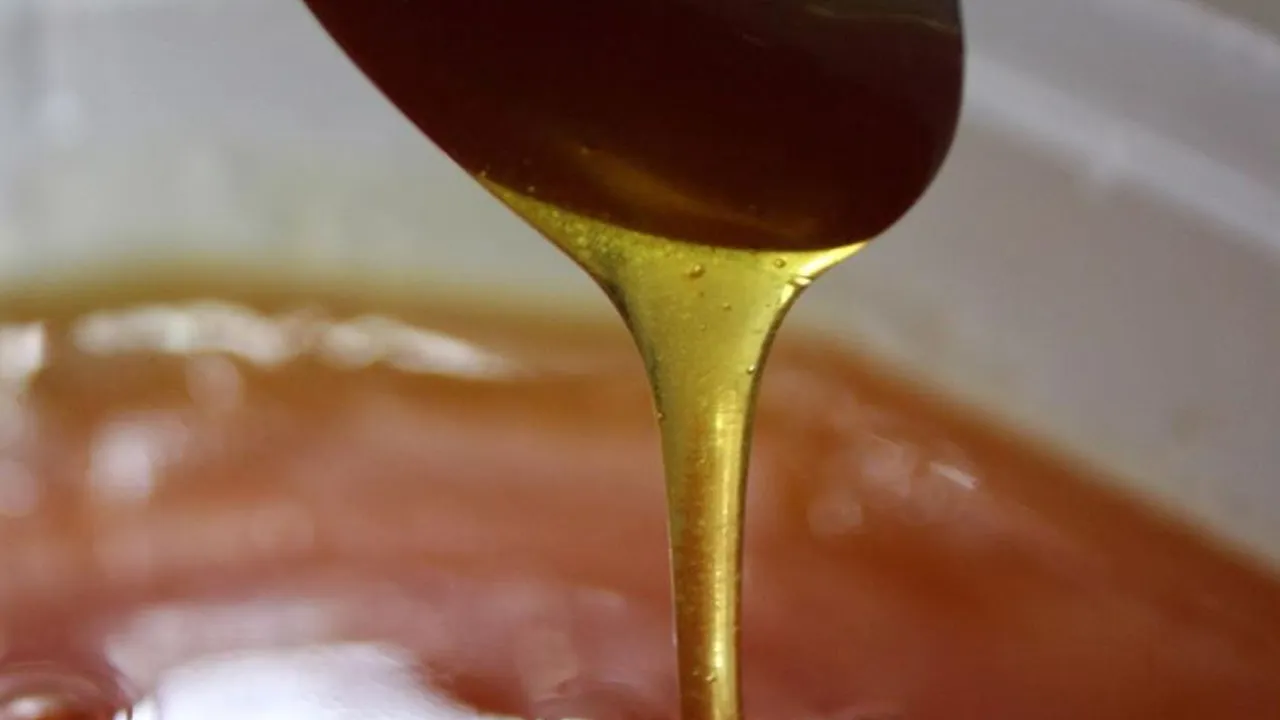 Ordu'da yaklaşık 15 ton sahte bal ele geçirildi!