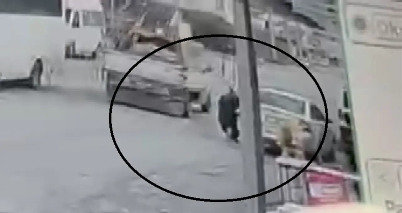 Seyir halindeki pikabın açılan kapağı kadının kafasına çarptı! O anlar kamerada