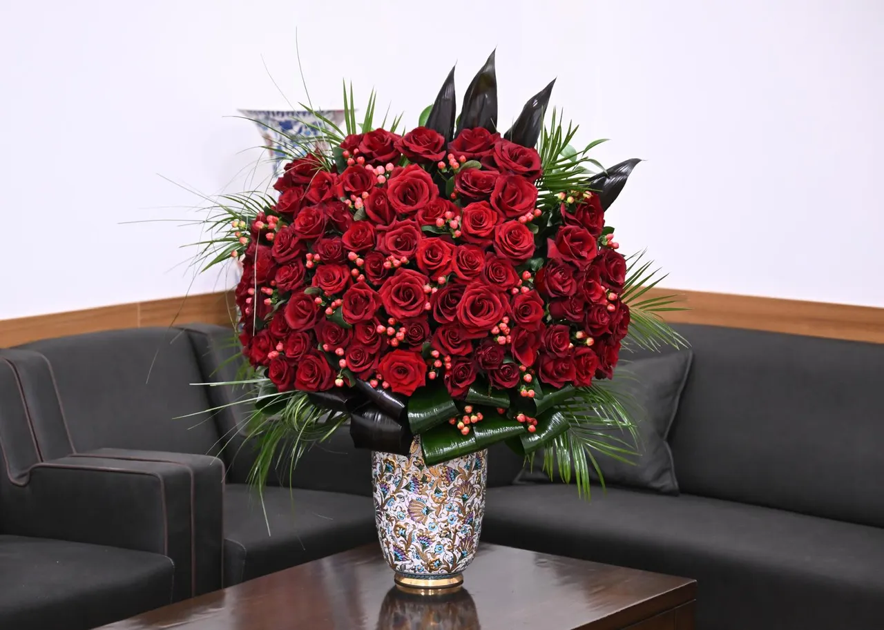 Bahçeli'den Cumhurbaşkanı Erdoğan'a doğum günü hediyesi! İnce detaylara dikkat