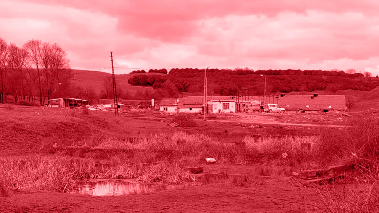 Çiftlik evinde dehşet! Elektrikli testereyle saldırdı, polis alarma geçti