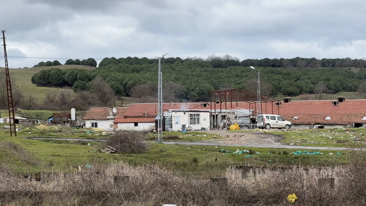 Çiftlik evinde dehşet! Elektrikli testereyle saldırdı, polis alarma geçti