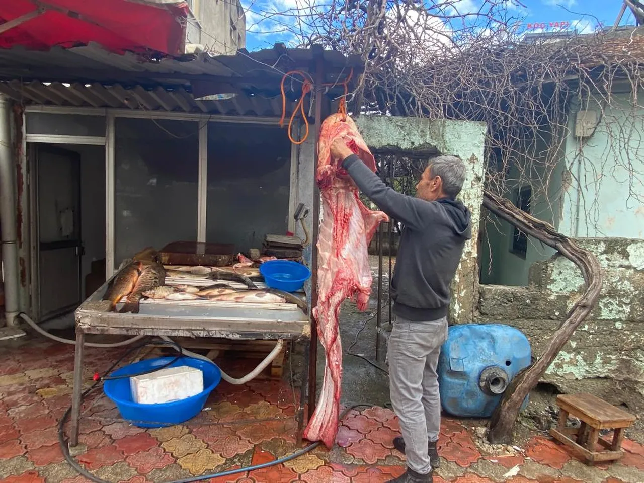 Gece ağ attılar, sabah devasa balık buldular!