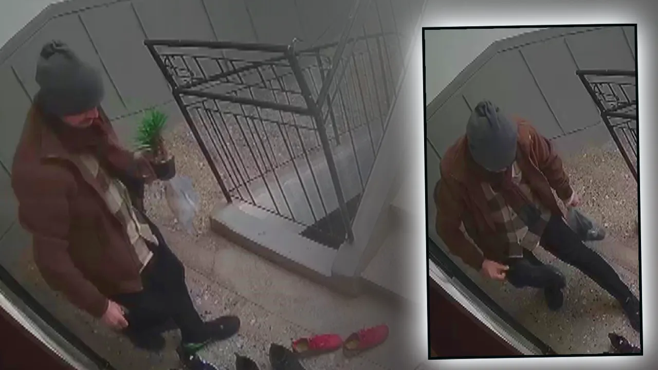 Marka meraklısı hırsız! Umduğunu bulamayınca çiçek çaldı