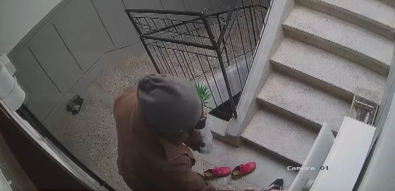 Marka meraklısı hırsız! Umduğunu bulamayınca çiçek çaldı