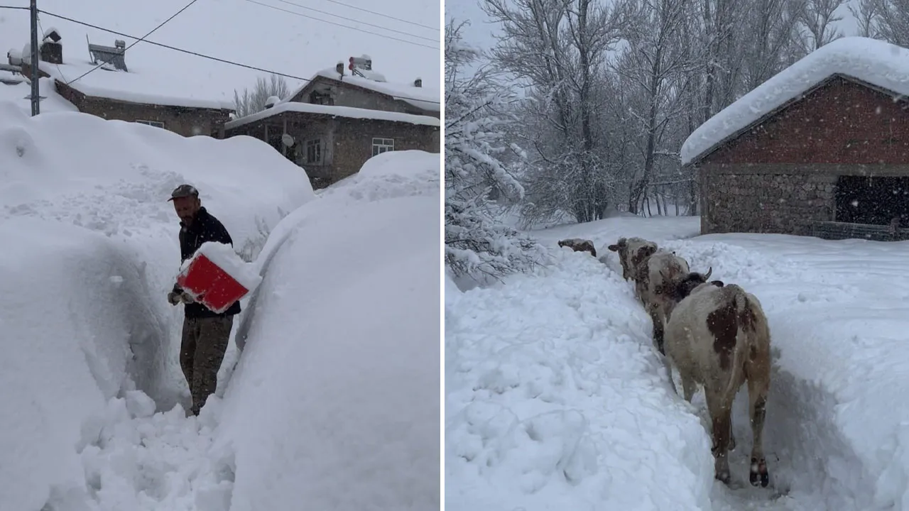 Tunceli'de eğitime hava engeli! Okullar tatil edildi