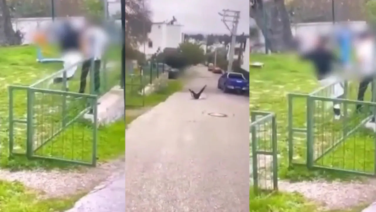 Yumruklar havada uçuştu, çocuk yol ortasına yığıldı: Bodrum'da 