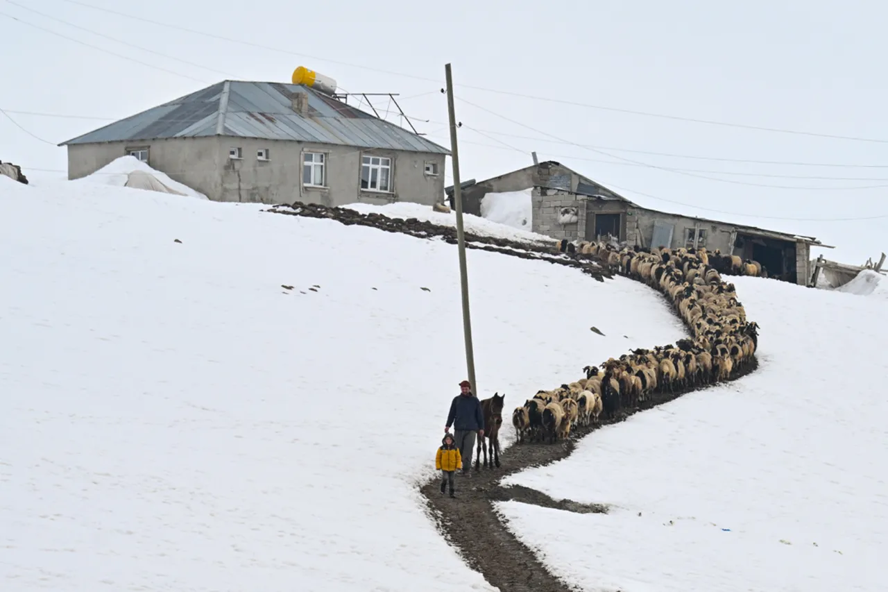 9 yıldır kışları köyün tek sakini onlar... 3 metre karın altında 'nöbet' tutuyorlar