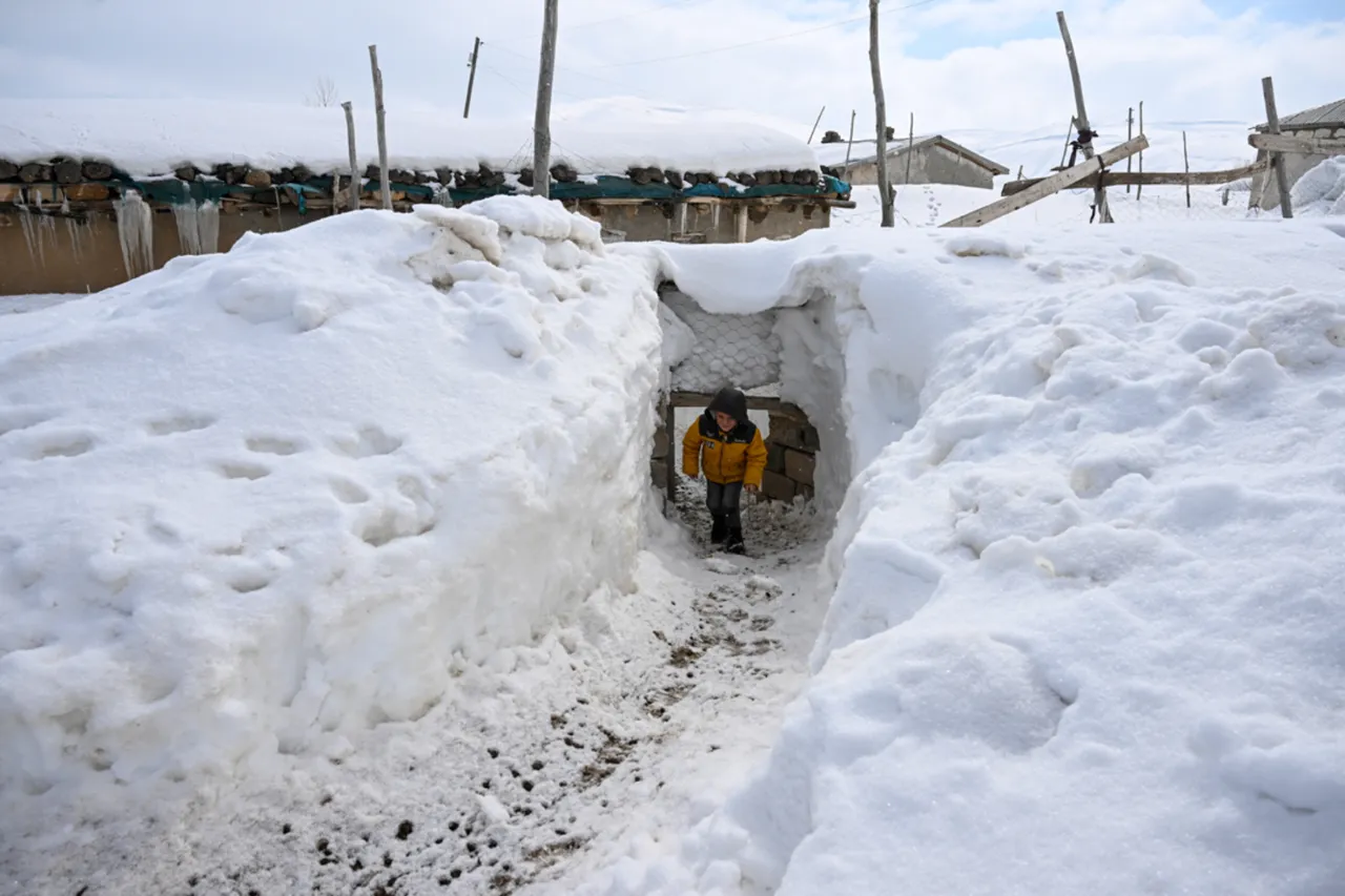 9 yıldır kışları köyün tek sakini onlar... 3 metre karın altında 'nöbet' tutuyorlar