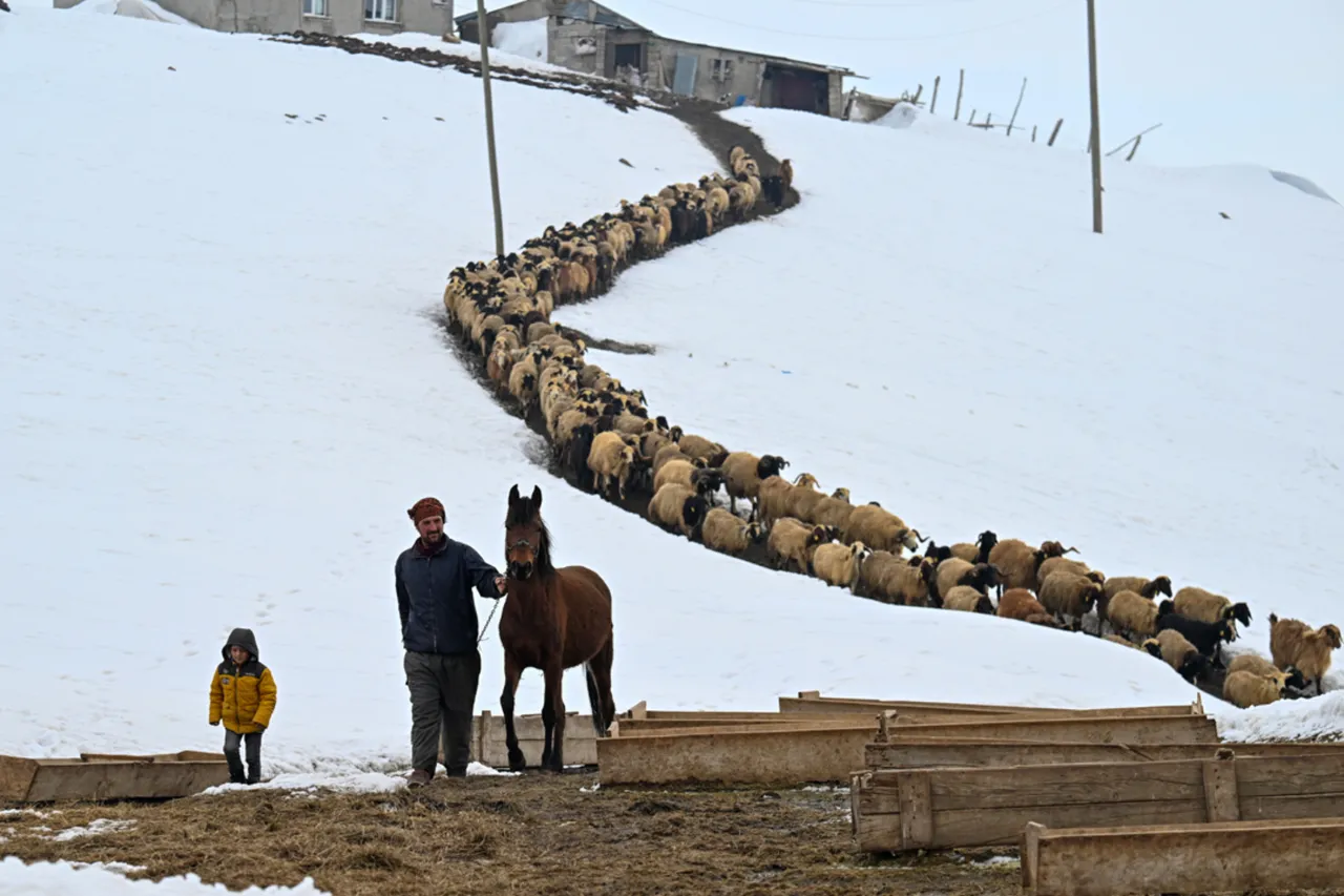 9 yıldır kışları köyün tek sakini onlar... 3 metre karın altında 'nöbet' tutuyorlar