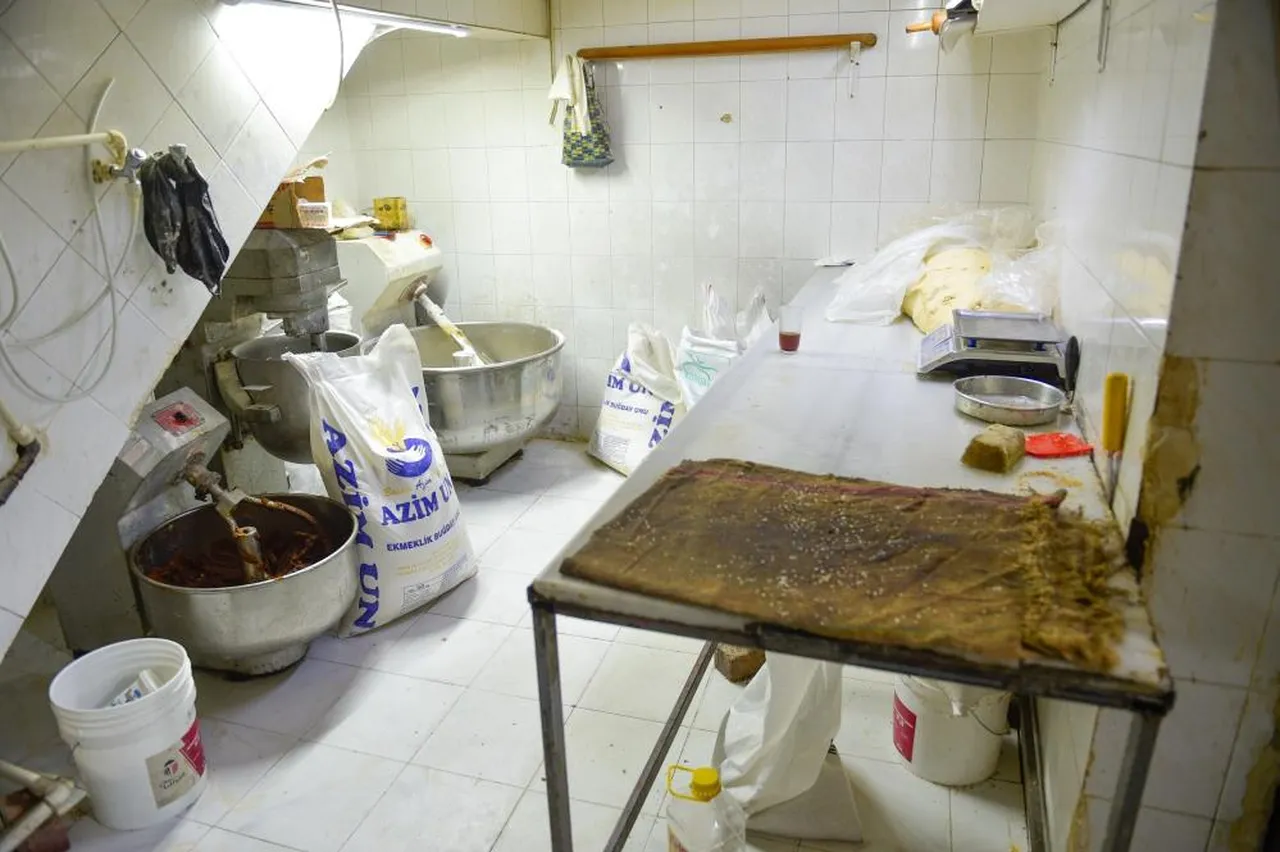 Adana'da fırında mide bulandıran görüntü! İş yeri mühürlendi