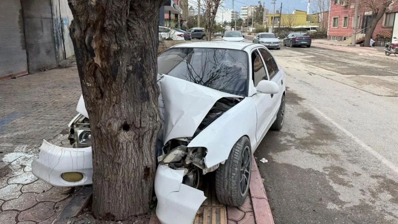 Ağaca çarpan çocuk sürücüye 46 bin 874 TL ceza