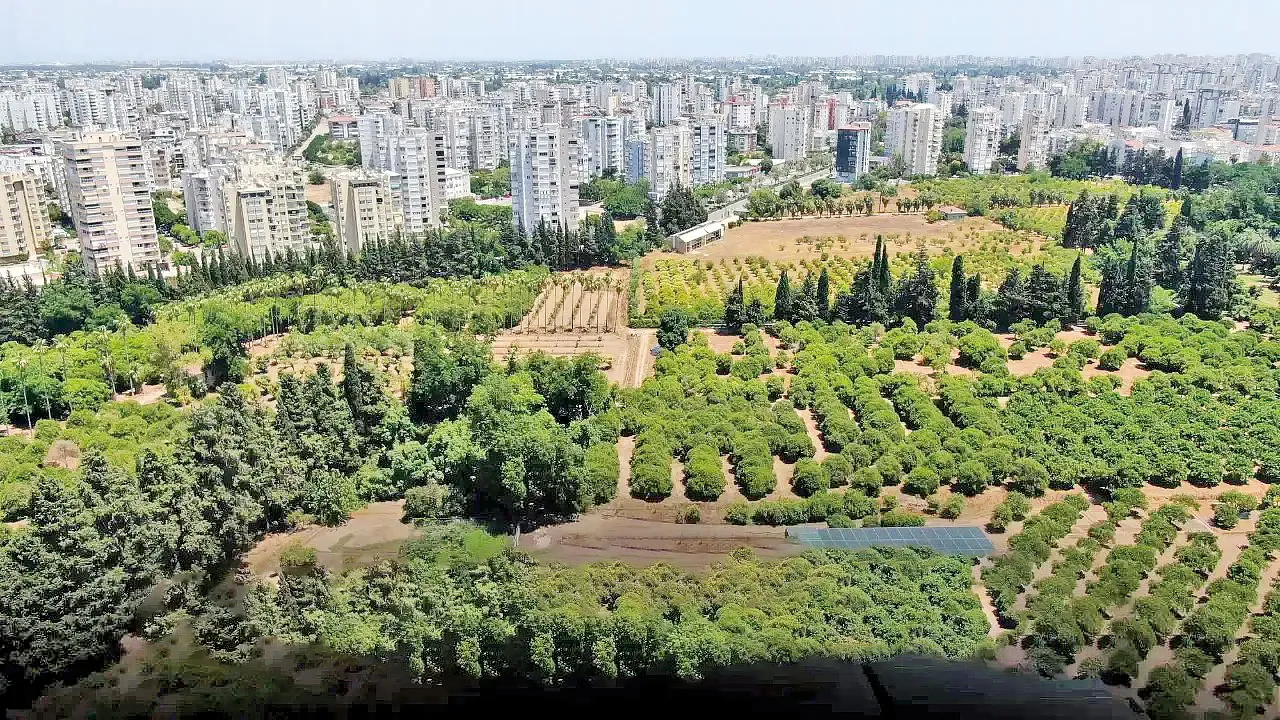 Antalya kadar tarım arazisini kaybettik