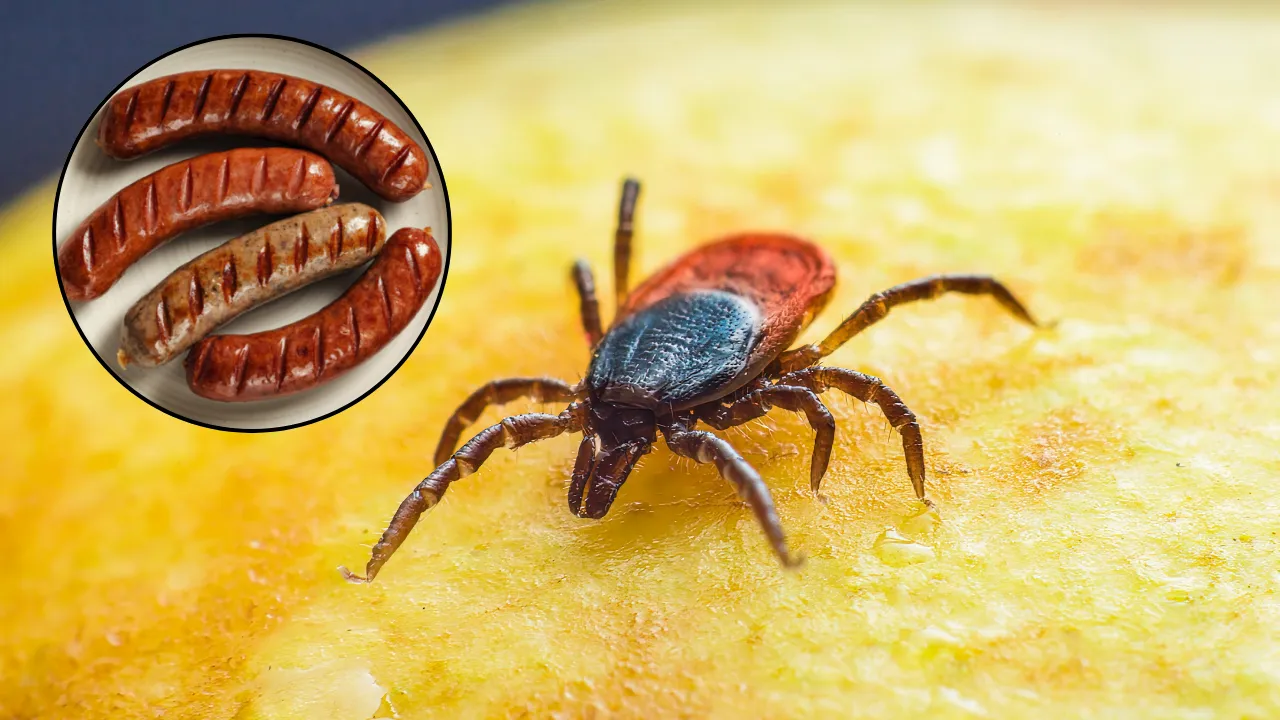 Dünyada görülen ikinci vaka! Astım nedeniyle öldüğü söylenmişti: Gerçek bambaşka çıktı