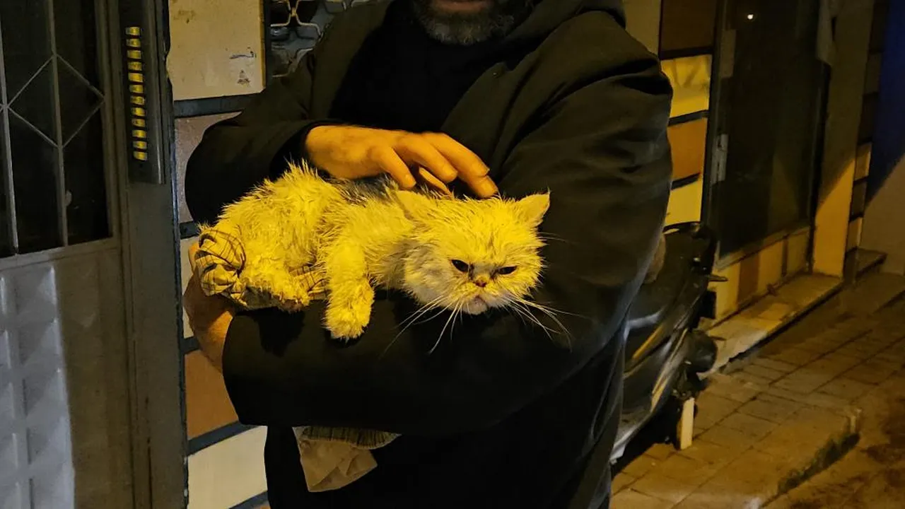 İstanbul'da yangın paniği! Metruk binadaki alevler bitişikteki konutlara sıçradı