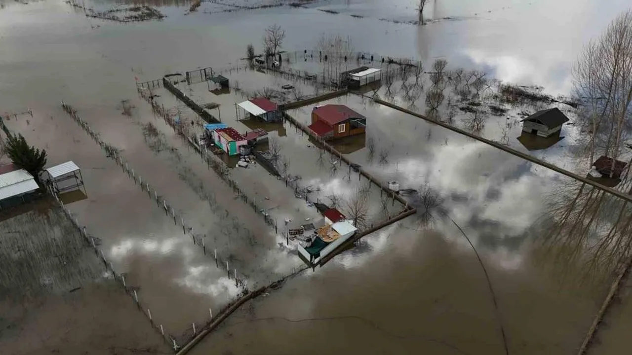Meriç Nehri taştı! Tarladan balık çıktı: Çiftçiler şaşkın