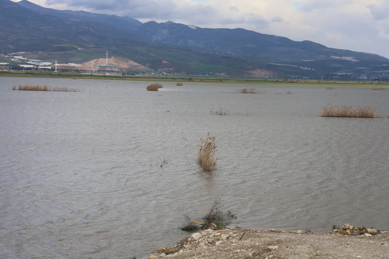 Ovaydı göl oldu! Kuraklığın ardından gelen yağmur, 5 bin dönüm sular altında bıraktı