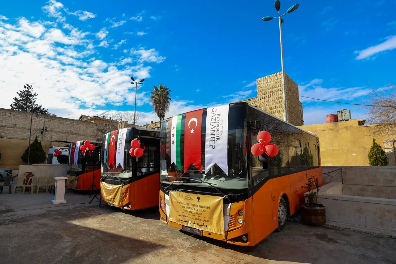 Yıkımın ortasında yeniden diriliş: Halep...