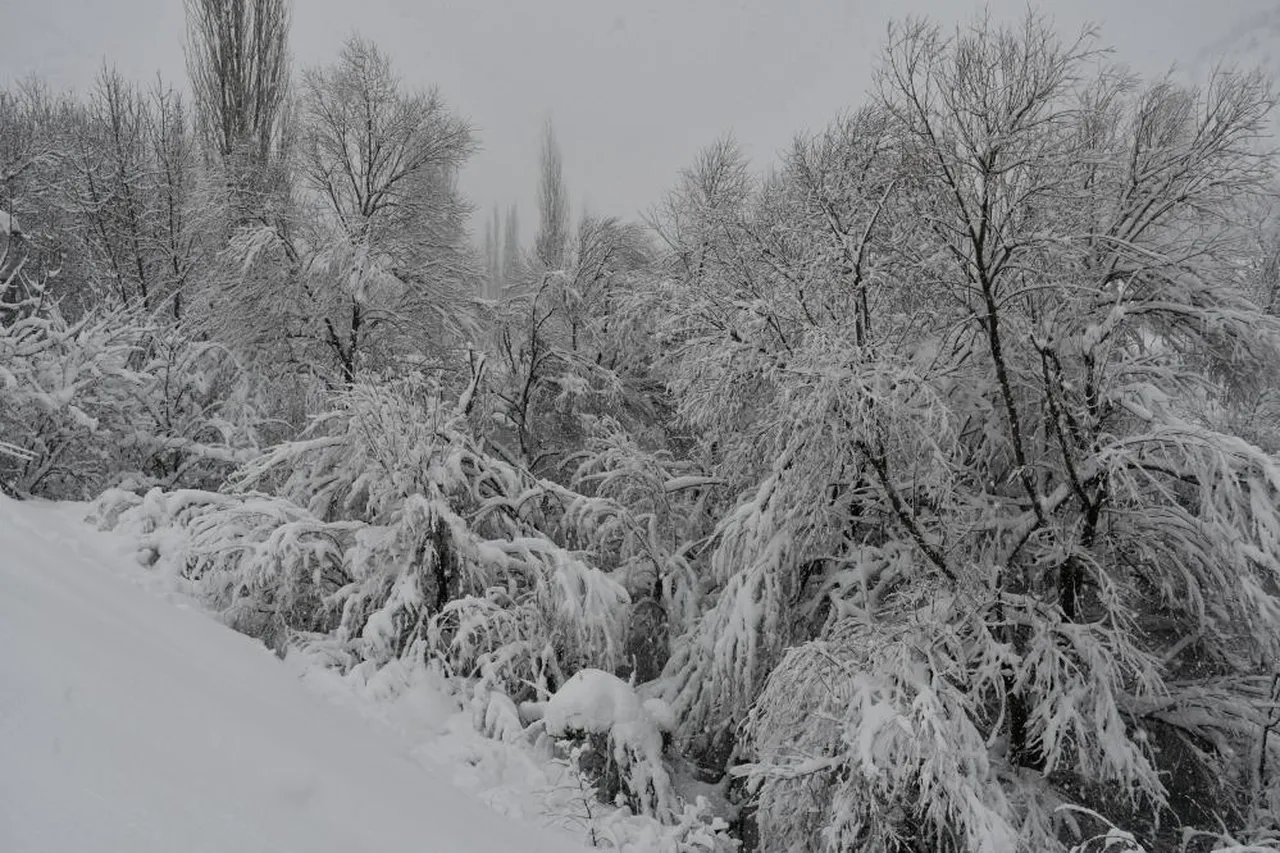 İki gündür aralıksız yağıyor! Köylere ulaşım durdu, ekipler gece gündüz çalışıyor