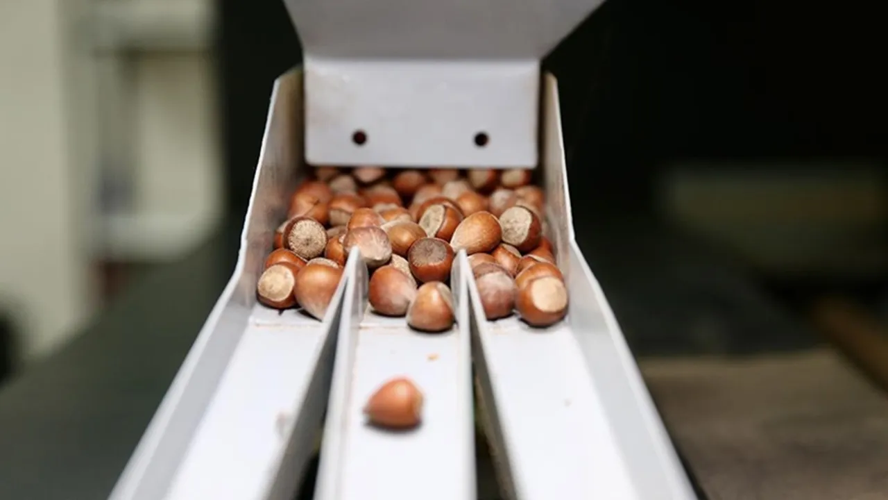 23 yaşında patron oldu! İşini devlet desteğiyle kurdu, başarıdan başarıya koşuyor