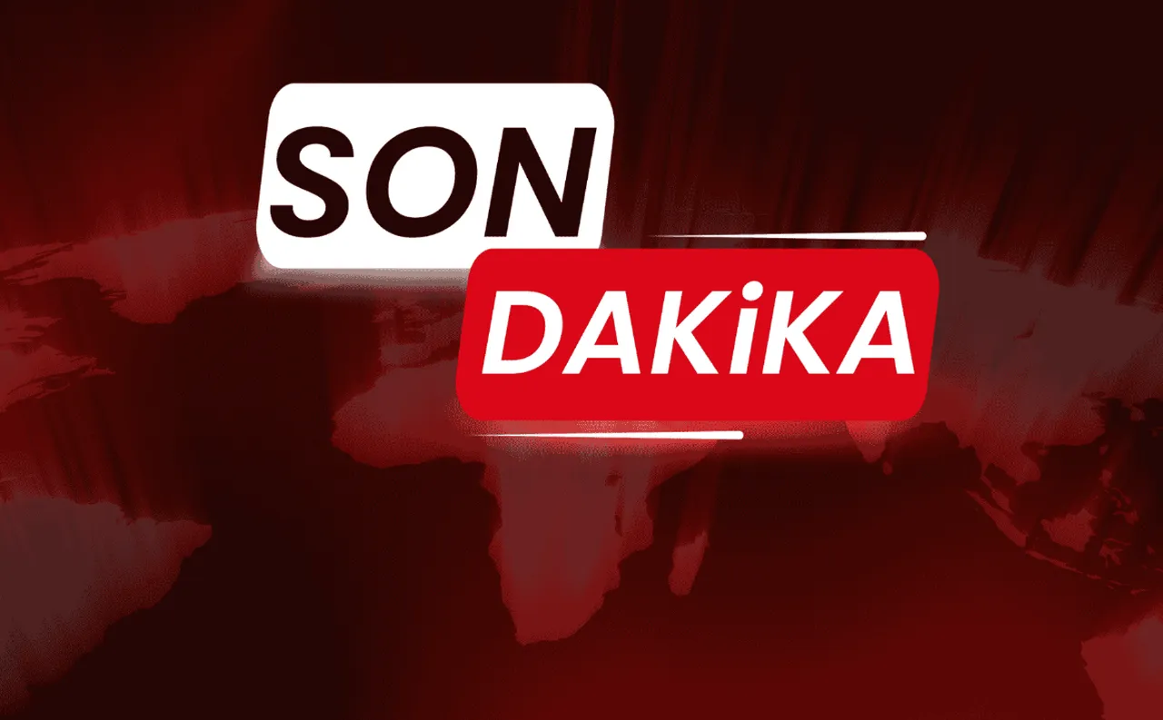 Diyarbakır'da 13 gündür kayıp olarak aranan Nimet Kılıç'ın cansız bedeni bulundu