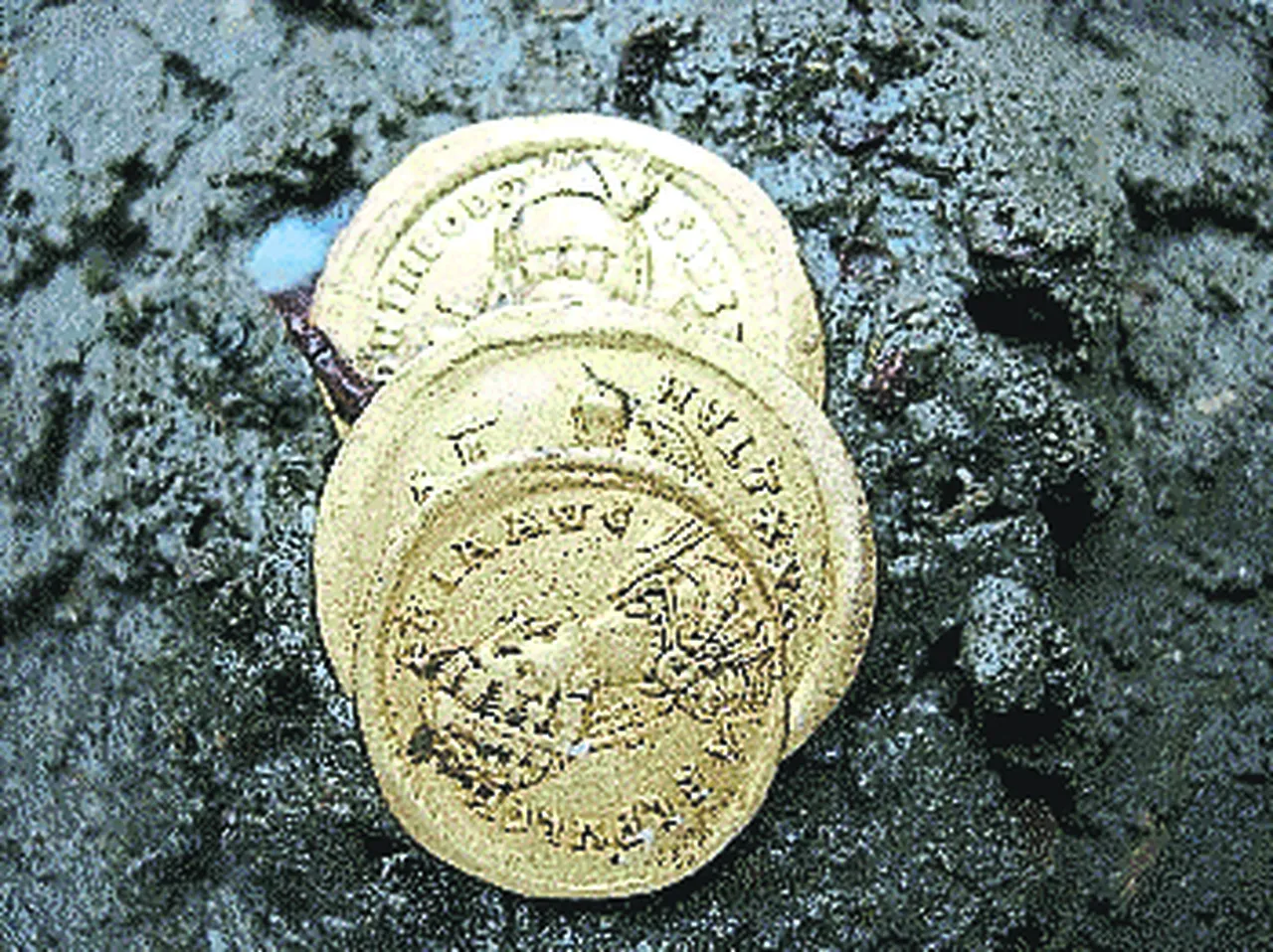 Dört deniz bir müzeye sığacak